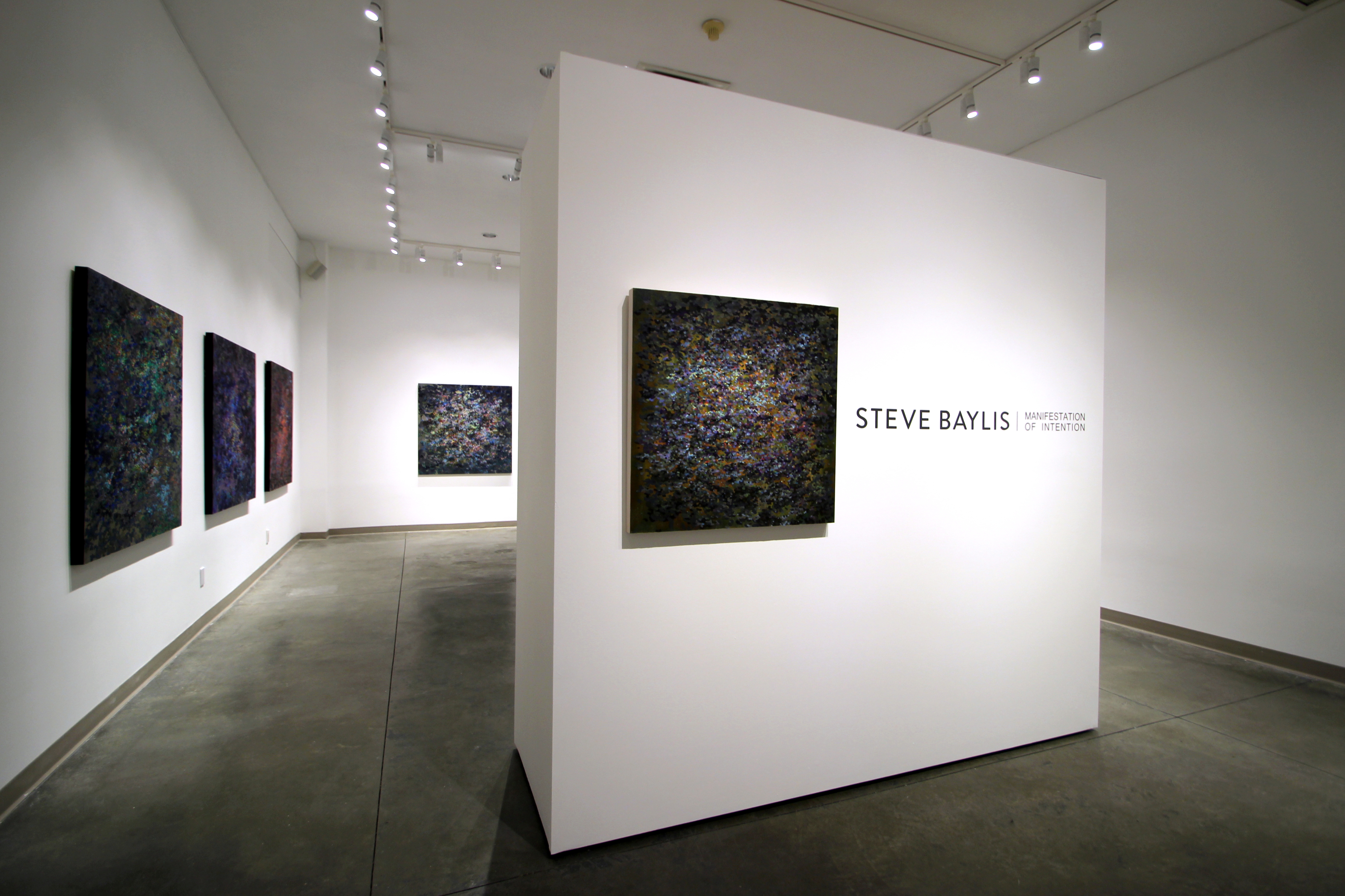 Steve Baylis en exposition solo, Manifestation of Intention — installation en galerie